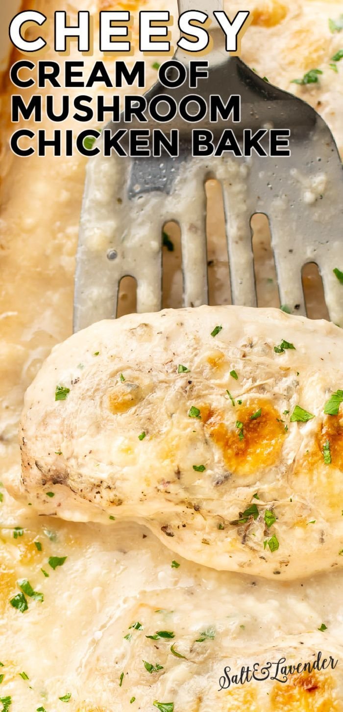 chợ tốt gà đá cần thơ chợ tốt gà đá cần thơ